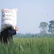 Riau Sambut Gembira Penambahan Alokasi Pupuk Bersubsidi