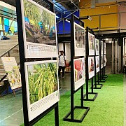 Sejengkal Lebih Dekat Dengan Pertanian Melalui Foto