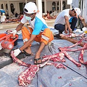 Idul Adha 1445 H, PGN Bagikan 382 Hewan Qurban di Sekitar Wilayah Operasional