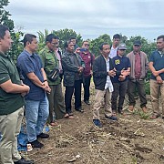 Dukung Potensi Jeruk Sumatera Utara, PLN Serahkan Bantuan Electrifying Agriculture