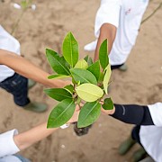 Telkom Pertegas Komitmen Energi Terbarukan di Hari Bumi 2025: Langkah Nyata Menuju Masa Depan Berkelanjutan