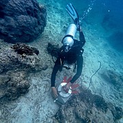 Peringati Hari Bumi 2025, Telkom Selenggarakan Konservasi Lingkungan Serentak di 4 Titik Lokasi di Indonesia