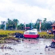 Menilik Peran BRMP dalam Memperkuat Komitmen Swasembada Pangan