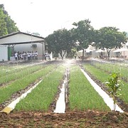 PT Pupuk Kujang Perkenalkan Formula Baru Pupuk NPK Nitrat Pertama Di Indonesia Untuk Peningkatan Produksi Hortikultura Nasional