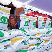 Langkah Nyata Bapanas Pangan Aman, Gizi Terpenuhi