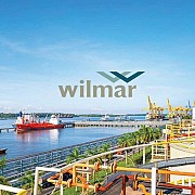 GIMNI Indonesia Kehilangan Kendali atas Harga CPO