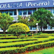 Membangun Industri Bahan Baku Herbal