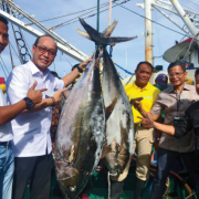 PT Perindo Genjot Sentra Produksi Ikan di Seluruh Indonesia