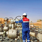 Ekspansi Migas Pertamina Internasional EP