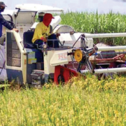 Perluas Program Pertanian Cerdas Iklim (CSA), Kementan Gandeng Pemprov Sumatera Utara