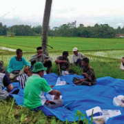 Petani CSA Purworejo Manfaatkan Demplot Sebagai Laboratorium Lapang