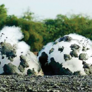 4 Pilar Dan 3 Program Kerja Badan Geologi