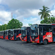 DPP Organda Bali Benahi Angkutan Umum Di Bali !