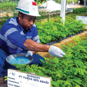 Visi Berkelanjutan Tunas Inti Abadi