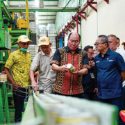 Nanas Lampung Kenikmatan Keberlanjutan