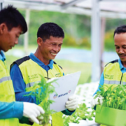 Peran ID Food Dalam Perkuat Ketahanan Pangan