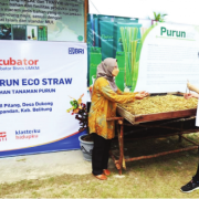 Sulap Rumput Menjadi Sedotan, NASABAH BINAAN BRI INI JADI PAHLAWAN LINGKUNGAN DAN MASYARAKAT