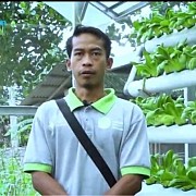 Berhenti jadi Karyawan, Sukses Kembangkan Kebun Pertanian Organik