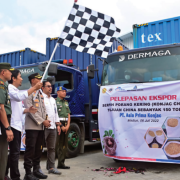 Asia Prima Konjac Porang Primadona Ekspor Indonesia