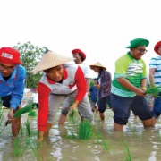 Petrokimia Gresik Dinobatkan Sebagai