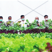 Peran BPPSDMP BANGUN KUALITAS SDM PERTANIAN