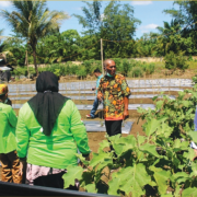Membangun Kemandirian Pertanian Abdya