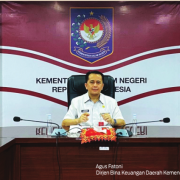 KEMENDAGRI BERI ARAHAN STRATEGI PERCEPATAN REALISASI ANGGARAN DAN LELANG DINI