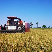 Propaktani : Perubahan Pola Pertanian Baru dengan Perbaikan Aspek Manajemen