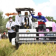 Kementan Dorong Daerah Lakukan Percepatan Tanam Padi