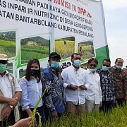 Komisi IV DPR Apresiasi Program Kementan Atasi Stunting