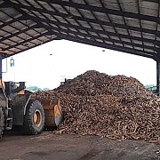 Kementan Dorong Peningkatan Pendapatan Petani Singkong Babel