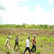 Kementan - Bupati Sumba Tengah Lakukan Percepatan Tanam Kawasan Food Estate