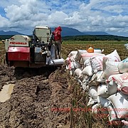 Sambut Panen Raya, Kementan Siapkan 245 Pemantau Harga Dilaporkan Online