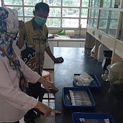 Kementan Dorong Petani Lampung Kedepankan Pengendalian Hama Ramah Lingkungan Melalui Kegiatan P4