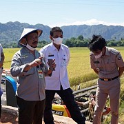 Jamin Stok Beras Melimpah, Mentan SYL: Lahan Tak Boleh Nganggur Lama