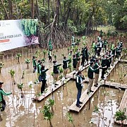 Apical Group Gandeng Pemerintah Selamatkan Mangrove di DKI Jakarta