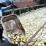 Balai Karantina Pertanian Kelas I Semarang Dorong Kenaikan ekspor Pertanian Jawa Tengah