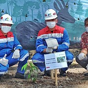 Lestarikan Flora dan Fauna Endemik, Pertagas dirikan Taman Kehati