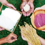 Optimalisasi Bisnis Askrindo Denpasar