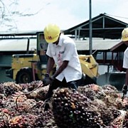 Langkah Smart Sinar Mas Agribusiness and Food