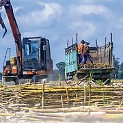 Dongkrak Capaian Kerja dan Bisnis PTPN I Kedepankan Program Teknologi Dan Digital di Seluruh Regional