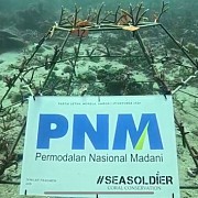 Peringati Sumpah Pemuda, PNM Gandeng Pemuda dalam Konservasi Terumbu Karang di Ambon