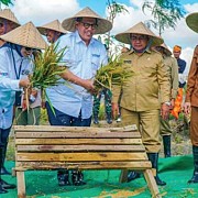 Dorong Kedaulatan Pangan Dengan Benih Unggul Gamagora 7