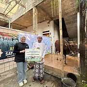 Sambut Idul Adha 1446 H, IPC TPK Salurkan 27 Hewan Kurban