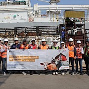 Berdikari Datangkan Sekitar Seribu Ekor Sapi Brahman Cross dari Australia Perkuat Pasokan Daging Nasional 2025