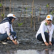 Dari Ekosistem ke Ekonomi, BNI Bangun Masa Depan Lewat Hutan Mangrove