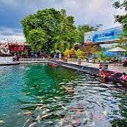 Sensasi Wisata Air Umbul Ponggok