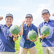 Bangun Kepedulian untuk Masyarakat, Sebanyak 20 Karyawan Pupuk Kujang Ikuti Program AKSI 2025 di Banyuwangi