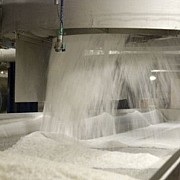 Geliat PTPN XI Memaniskan Industri Gula Indonesia