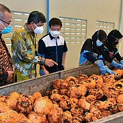 Hilirisasi Pangan Lokal Kurangi Kandungan Impor